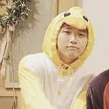 chaootic:  a wild duck appeared~ 🐥 