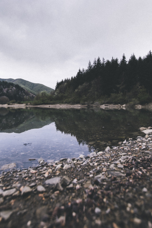 elenamorelli:  { by the lake } 