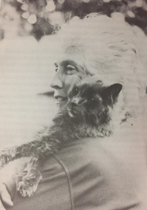 virgodura:Photographs from Cats (and their Dykes), eds. Irene Reti and Shoney Sien. 1. Beth Karbe, “