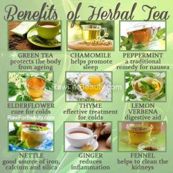 onetwistedpixie:  Benefits of herbal tea.