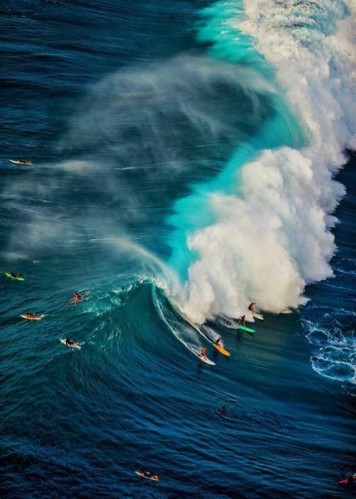 lewerta:
“Life’s a wave, catch it | Photo by Zak Noyle
”