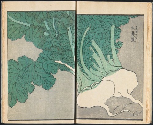mia-japanese-korean: Pictured Phenomenon vol. 4, Utagawa Sadahide, 1864, Minneapolis Institute of Ar