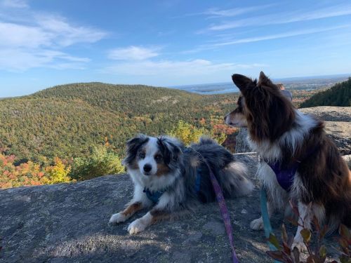 Kaylee was more interested in looking at the view than my camera. Oh well…still a great pic. ❤️❤️ #m