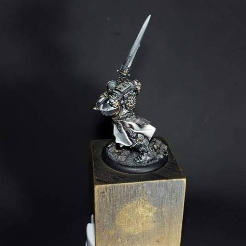 Porn photo wh40khq:    Emperor’s Champion (Custom