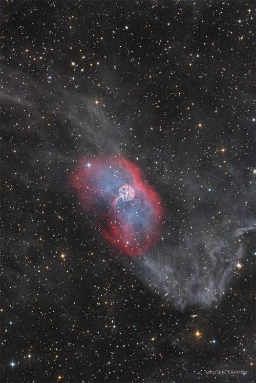 2024 April 30 GK Per: Nova and Planetary Nebula
Image Credit & Copyright: Deep Sky Collective
Explanation: The star system GK Per is known to be associated with only two of the three nebulas pictured. At 1500 light years distant, Nova Persei 1901 (GK...