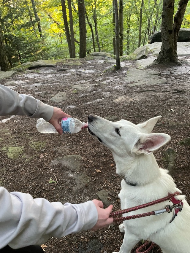 It was a beautiful summer evening for a date night hike with my girls, Astrid had