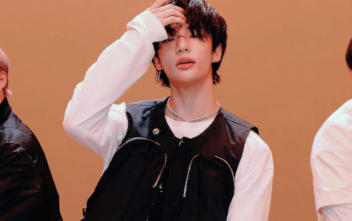 Idol! Hyunjin X Stay! Reader: Ship