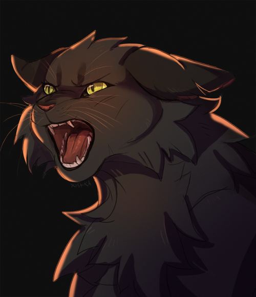 cherivinca: Angry!!!! Just an experimental pic feat Hollyleaf