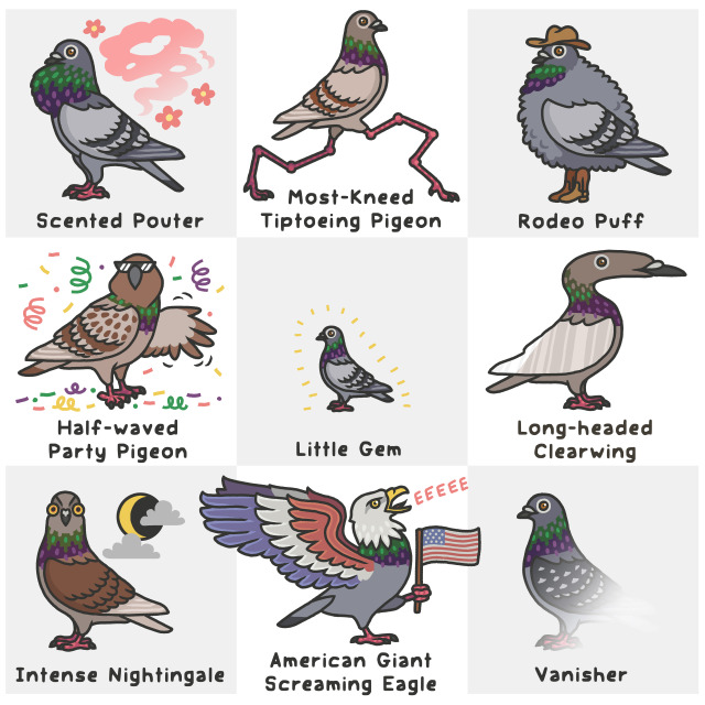 Scented Pouter: pigeon’s neck is puffed up and it’s exuding a flowery scent Most-Kneed Tiptoeing Pigeon: Pigeon has four knees per leg and is tiptoeing Rodeo Puff: Fluffy pigeon in a cowboy hat