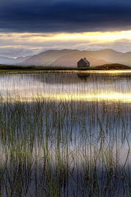 mfkopp:  travel-lusting:  Glen Quaich, Perthshire, Scotland