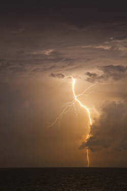 opticcvlture:  Georgia Lightning by Kevin Lafone