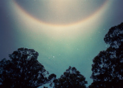 joenigelcoleman:  Moonbow - 2014 