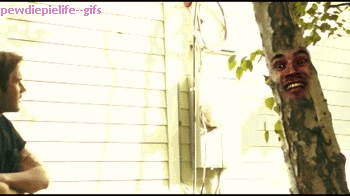 “Do you have any experience with pink toaster violence? If you do, be a tree.” Click for