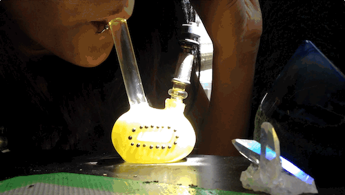 veeveeganja:  Kiwi by Glass By Boots