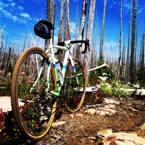 jennlevo:  Had a great time today circumnavigating Waldo Lake on the #speedvagen CX bike. One sectio