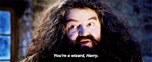 "You're a wizard, Harry." - Rubeus Hagrid (GIF extrait du film Harry Potter 1)