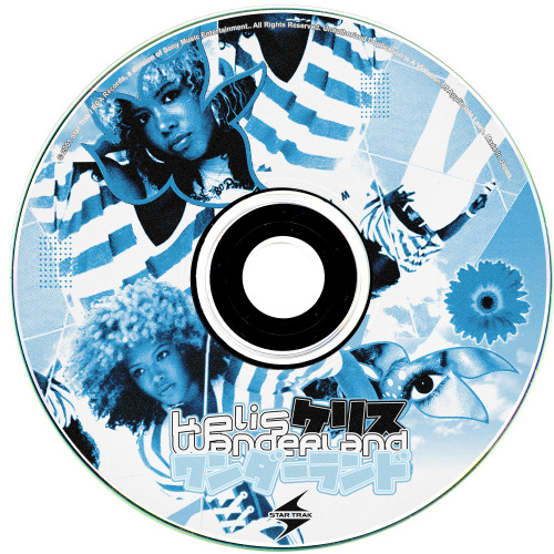 CD’s based on Japanese Dreamcast Discs (by @wakeupzuzi​ on IG) 