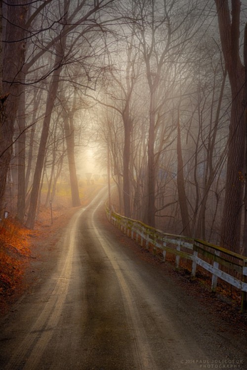 fresh-mind-fresh-day:  People take different roads seeking fulfillment and happiness. Just because they’re not on your road doesn’t mean they’ve gotten lost. - H. Jackson Brown, Jr.