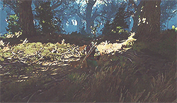 kayasho:  The Witcher 3: Wild Hunt.