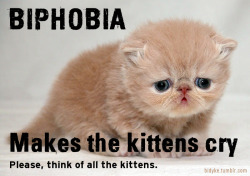 bidyke:  [Image: a picture of a ginger Persian kitten with a sad look on their face. Upper text: “BIPHOBIA”. Lower text (smaller): “Makes the kittens cry”. Small text below: “Please, think of all the kittens.”] This image on facebook 