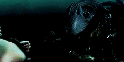 ashtonxrwins:  how to train your dragon requested by friendlythestral