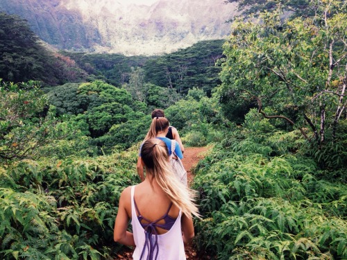 micaelakauhanee:  maunawili, oahu 