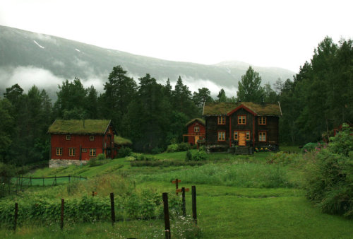 ylfra: Norwegian Farm by Navanna