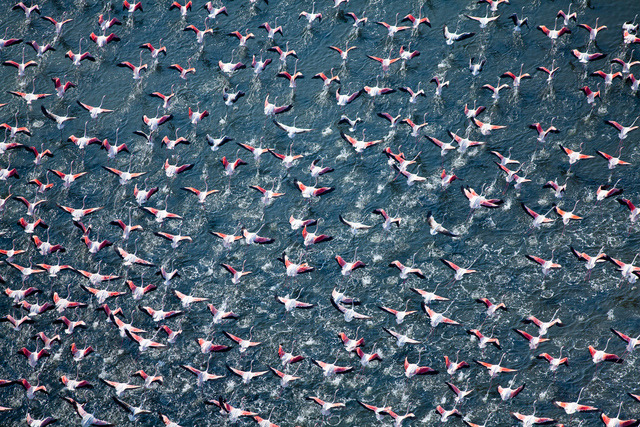 beben-eleben:  Alex McLean, a licensed pilot and photographer, took these gorgeous
