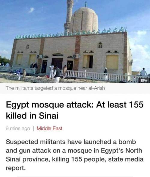 m-i-d-o-l-o-g-y:  Now if you are saying that ISIS represents Islam please, note that there are more than 155 Muslims killed today while praying in a mosque in Arish, North Sinai. Update: the number of Muslims killed is 235 till now 😔  Terrorism has