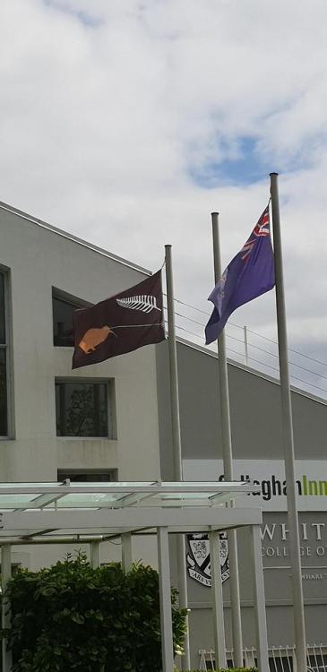rvexillology:The Lazer Eyes Kiwi from New Zealands 2015 flag referendum