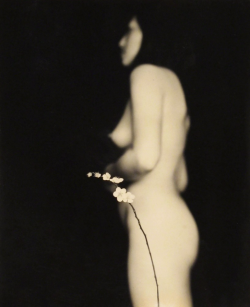 nobrashfestivity:  Masao Yamamoto