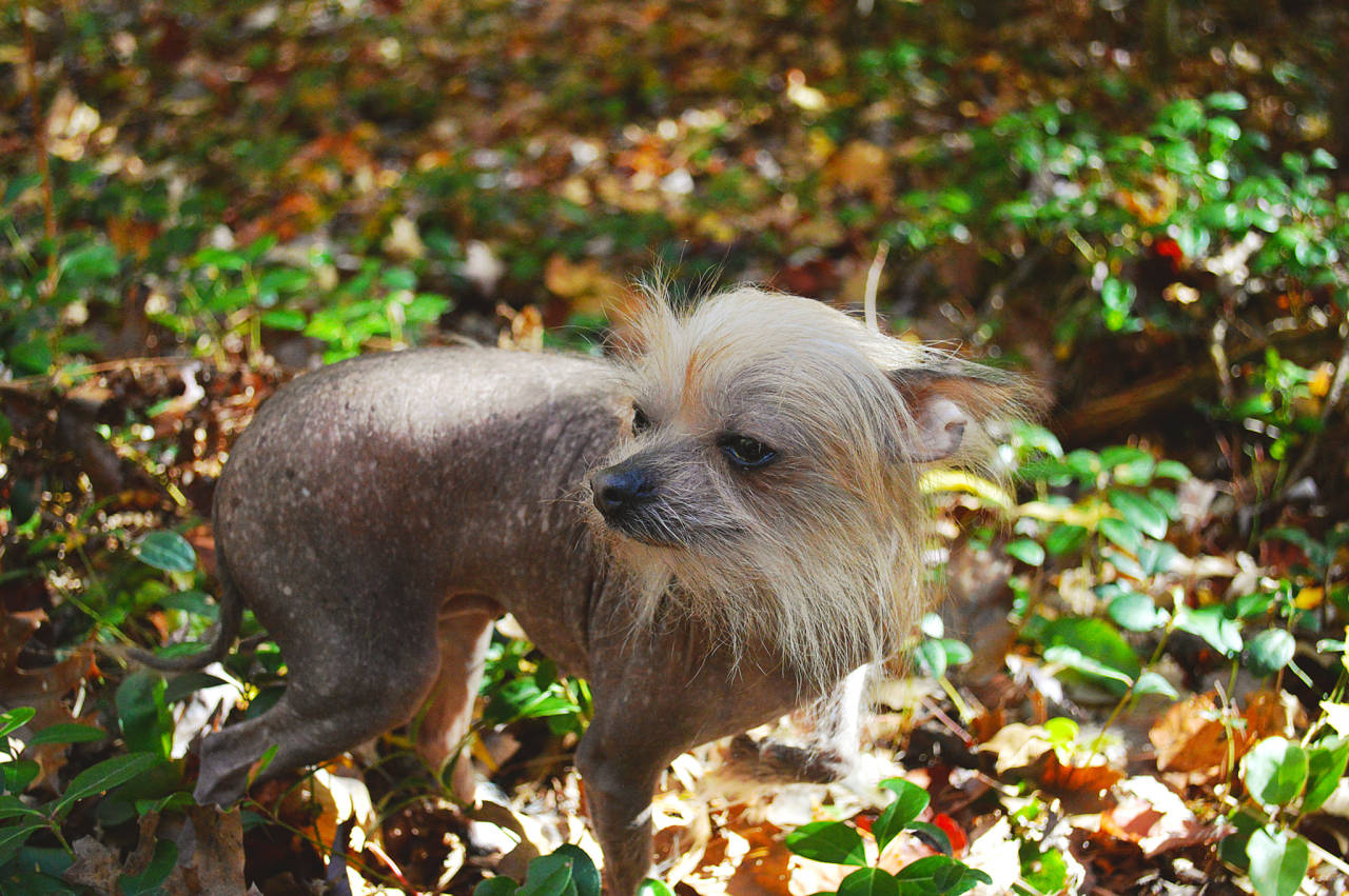 My sweet girl. Stevie! insta ⋮ earthmegarah