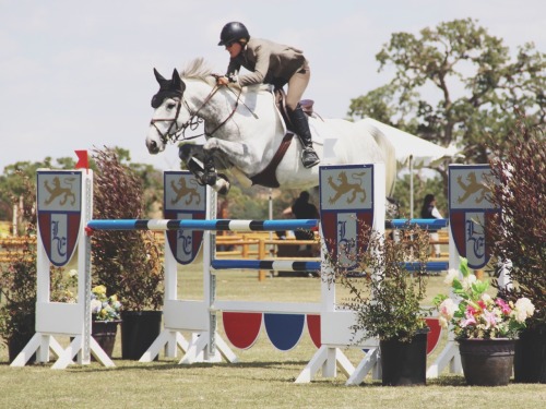 Paso Robles Horse Show || Memorial Classic 2015