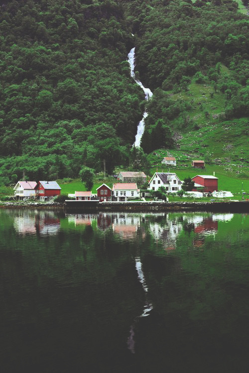 ruxssy:  nature blog    