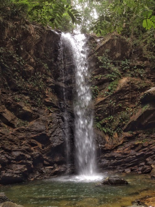 theeyeoftroy: Closer shot of Avocat waterfall, Blanchisseuse, Trinidad. Copyright 2017 Troy De Chi. 