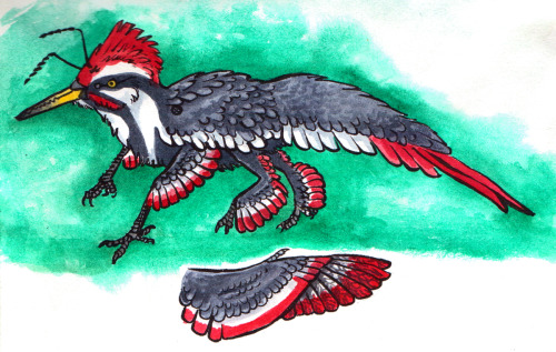 So i joined The-Monster-Makers on dA!Some of my starter animals included a pileated woodpecker and a