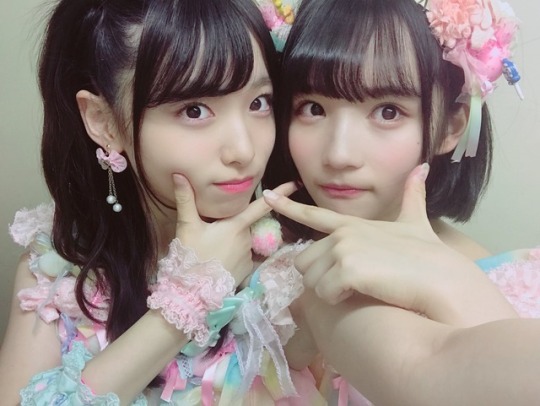 hatsukoi-butterfly: 