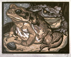 artistsanimals:Title: Two Toads and a snailArtist: Norbertine von Bresslern-RothDate: 20th centuryMedia: Color linocutSize: 16.1 x 20.9 cmSource: de Young/ Legion of Honor Fine Arts Museums of San Francisco