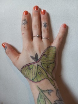 Luna moth and all finger tattoos done with the stick and poke kit, and also with my left hand (I am right hand dominant)