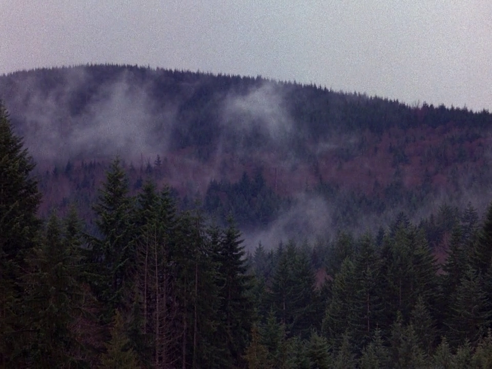 ardenly:  Twin Peaks Pilot, 1990 