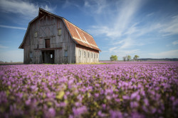 travelingcolors:Boone County | Missouri (by