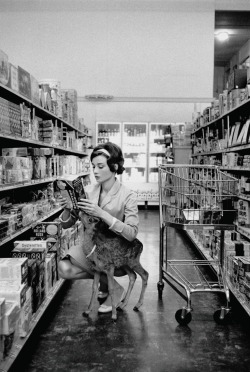 singinginthewire:  You don’t tell Audrey Hepburn that she can’t bring her deer into your grocery store.
