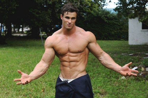 agmsye - Male Muscle Transformations