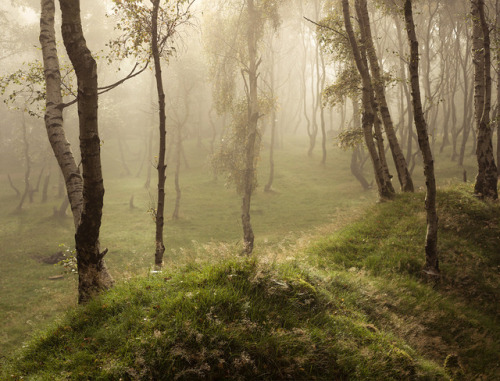 te5seract: Bolehill II,  Enchanted &amp; Webs &amp; Dew by vuzephotography.co.uk