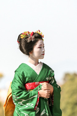 geisha-kai:  Maiko Katsutomo in November