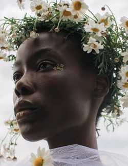 bienenkiste: “A Midsummer Story”. Biba Williams photographed by Megan Kellythorn for Blanc Magazine