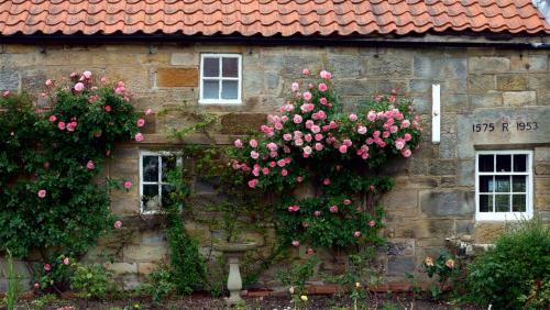 Country Living.Built 1575, restored 1953.