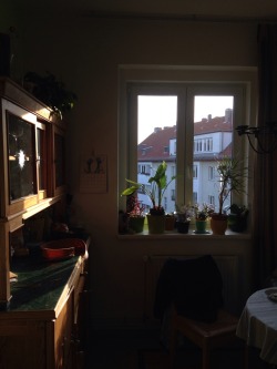 ost-kreuz:  this kind of summer evenings