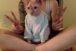 lnconvenientcrush:  wrinklepaws:  This is my own baby sweater and I do things like this in my free time because I have no life and also I am an immature child  how did you make that baby 