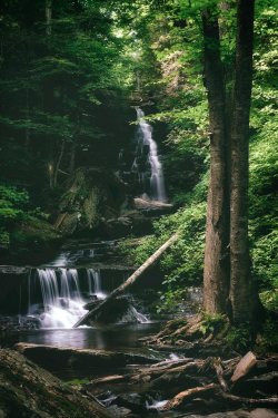 expressions-of-nature:  Ozone Falls by: Colin Gallagher